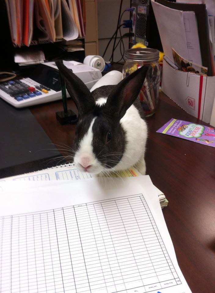 Broome Street Day Care gets a duplex for Local Bunny