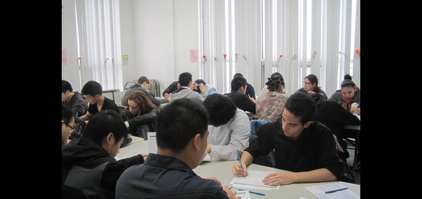 Young Adult Internship Program (YAIP)